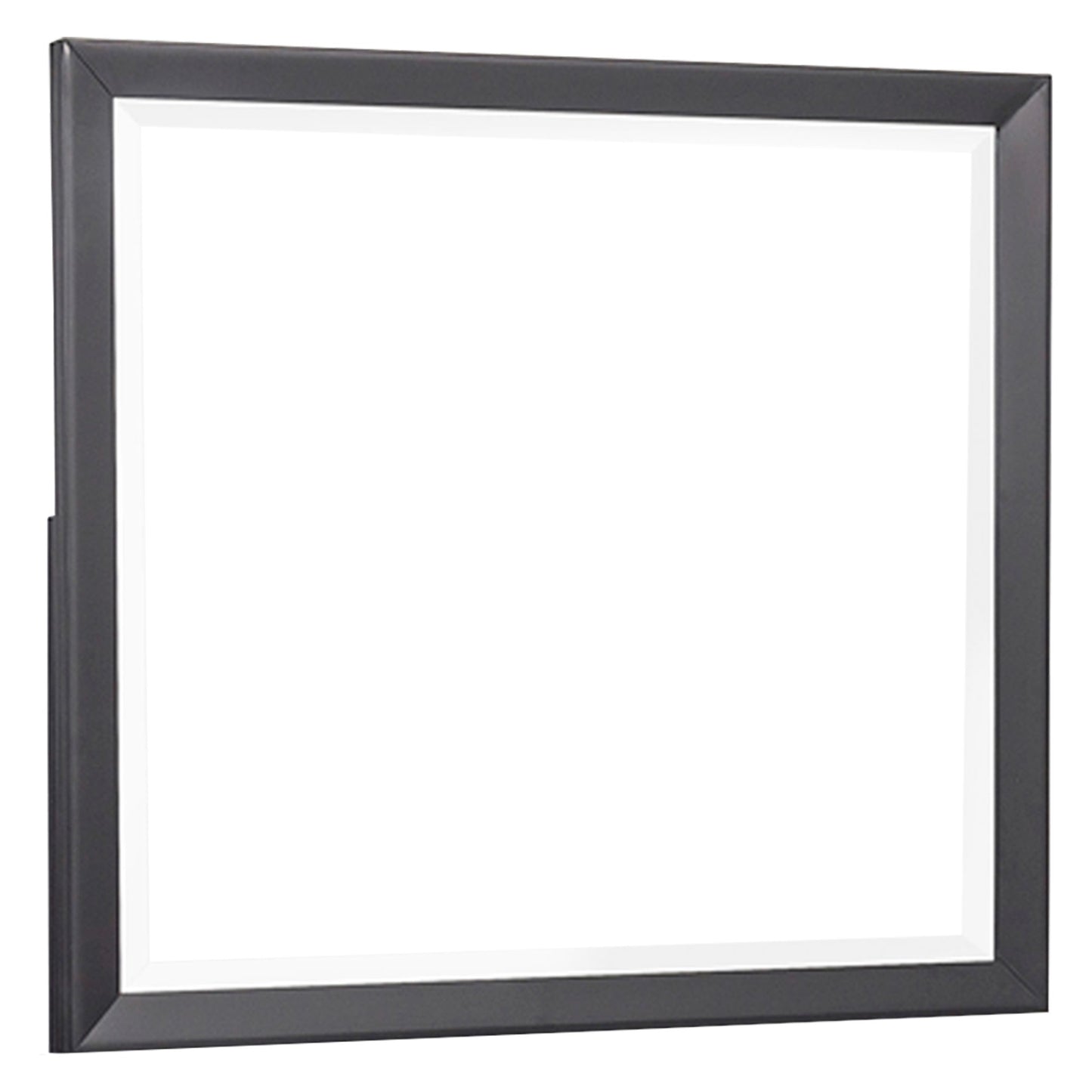 Homelegance Dresser Mirror Raku Gray Black Finish 1711-6