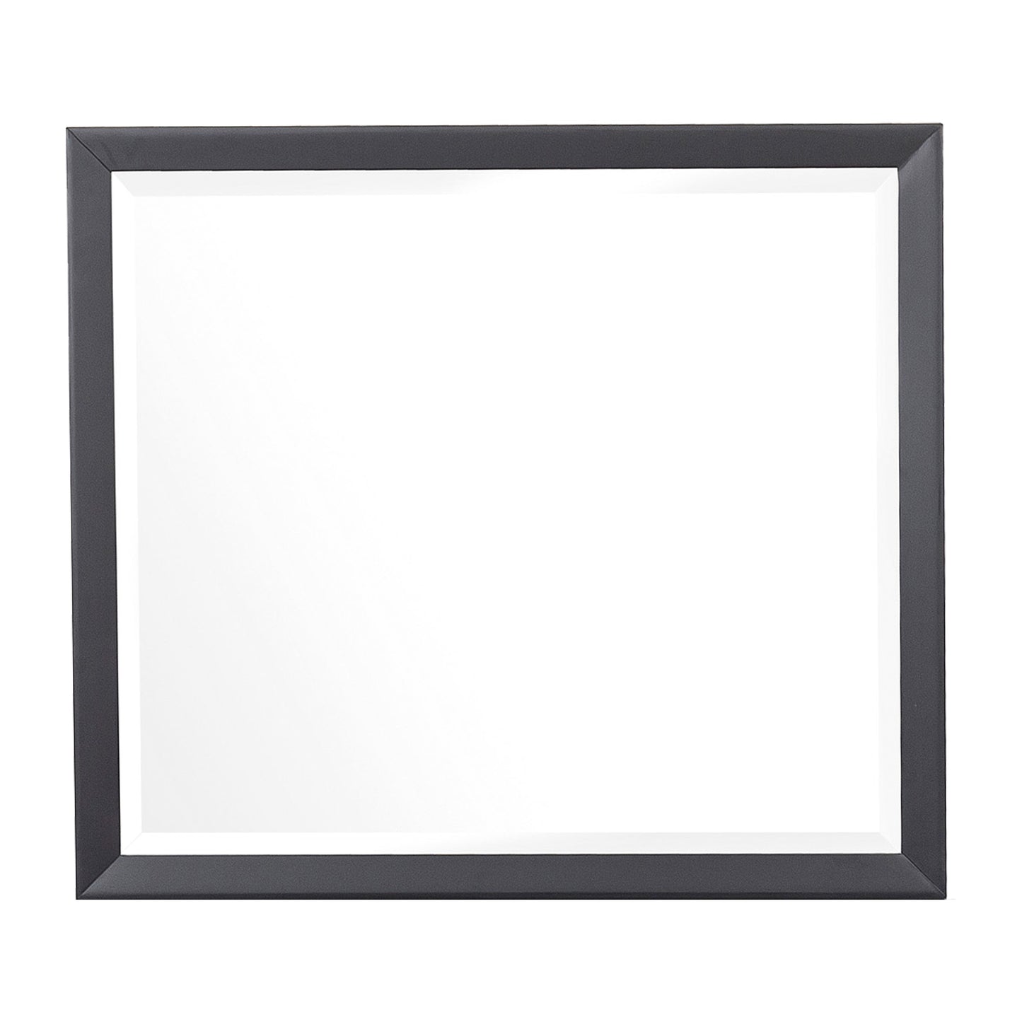 Homelegance Dresser Mirror Raku Gray Black Finish 1711-6