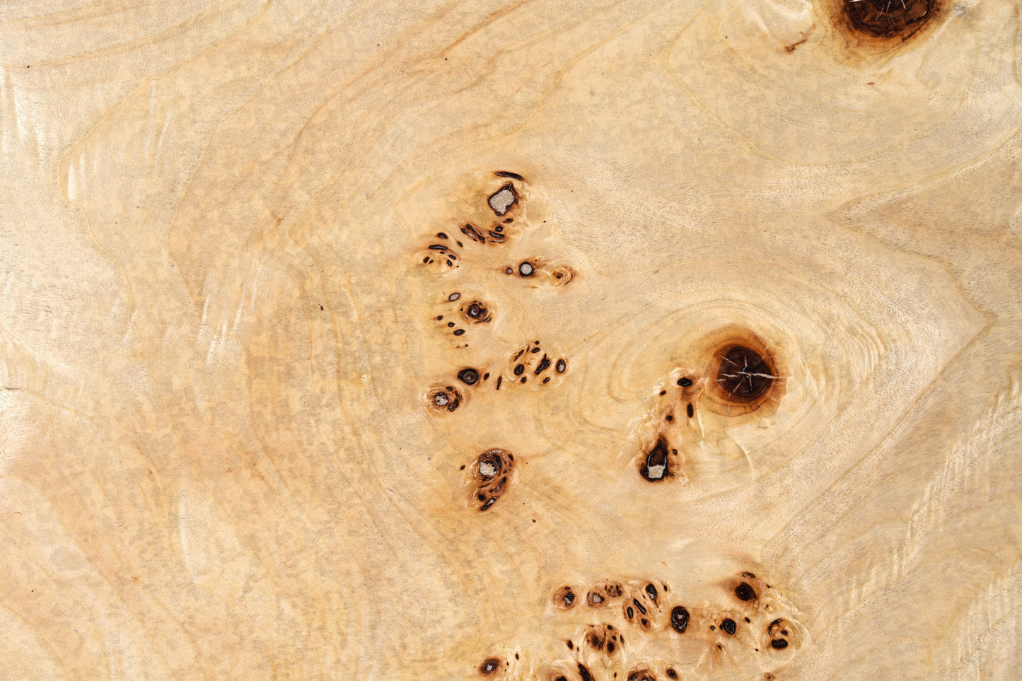 Modrest July Modern Mapa Burl Round Coffee Table