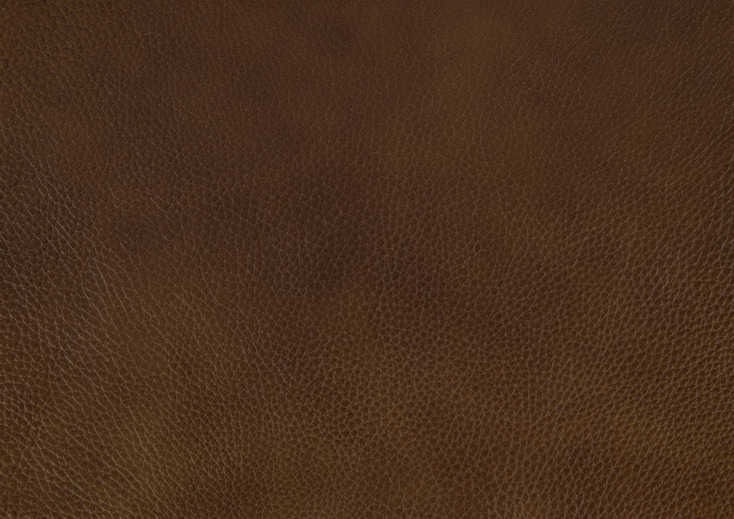 Homelegance Braintree Accent Chair in Brown Leather with Nailhead Trim 9278BRW1