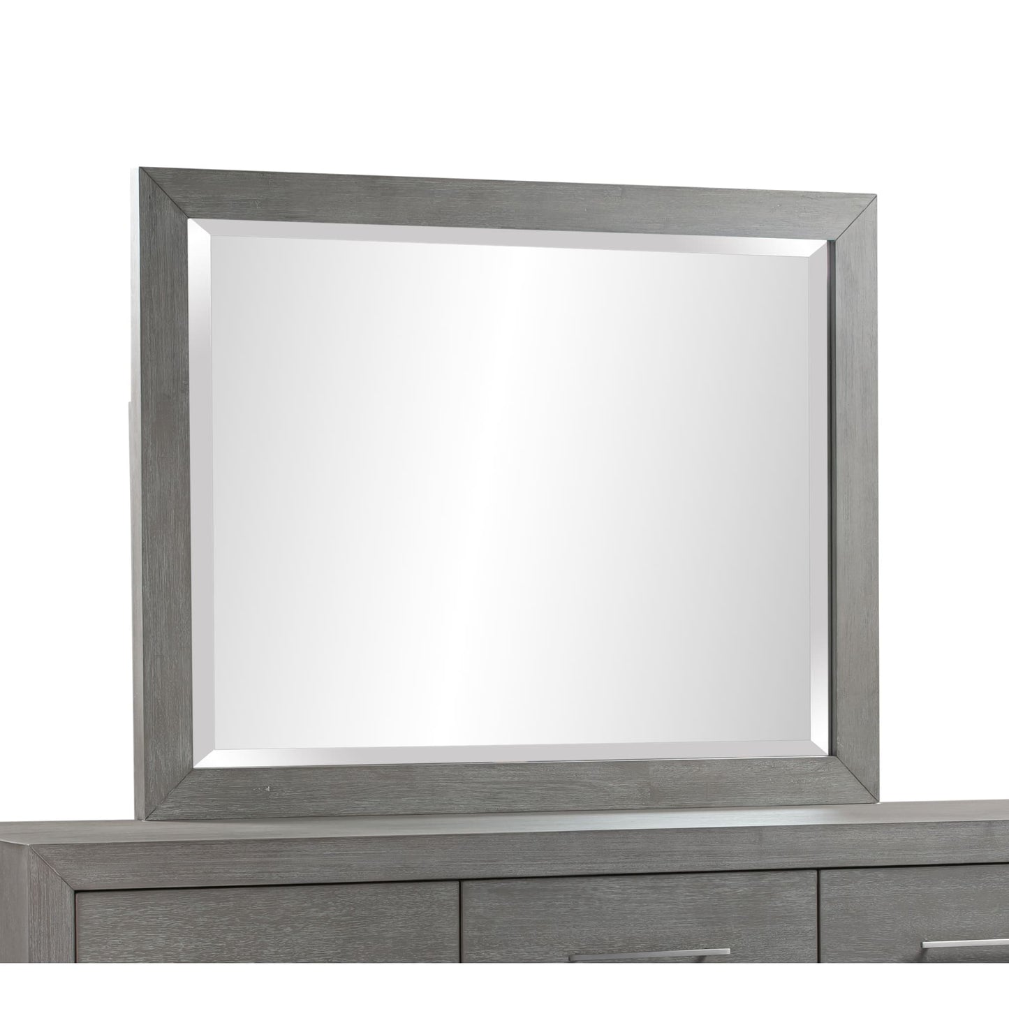 Modus Melbourne Beveled Glass Mirror in Mineral