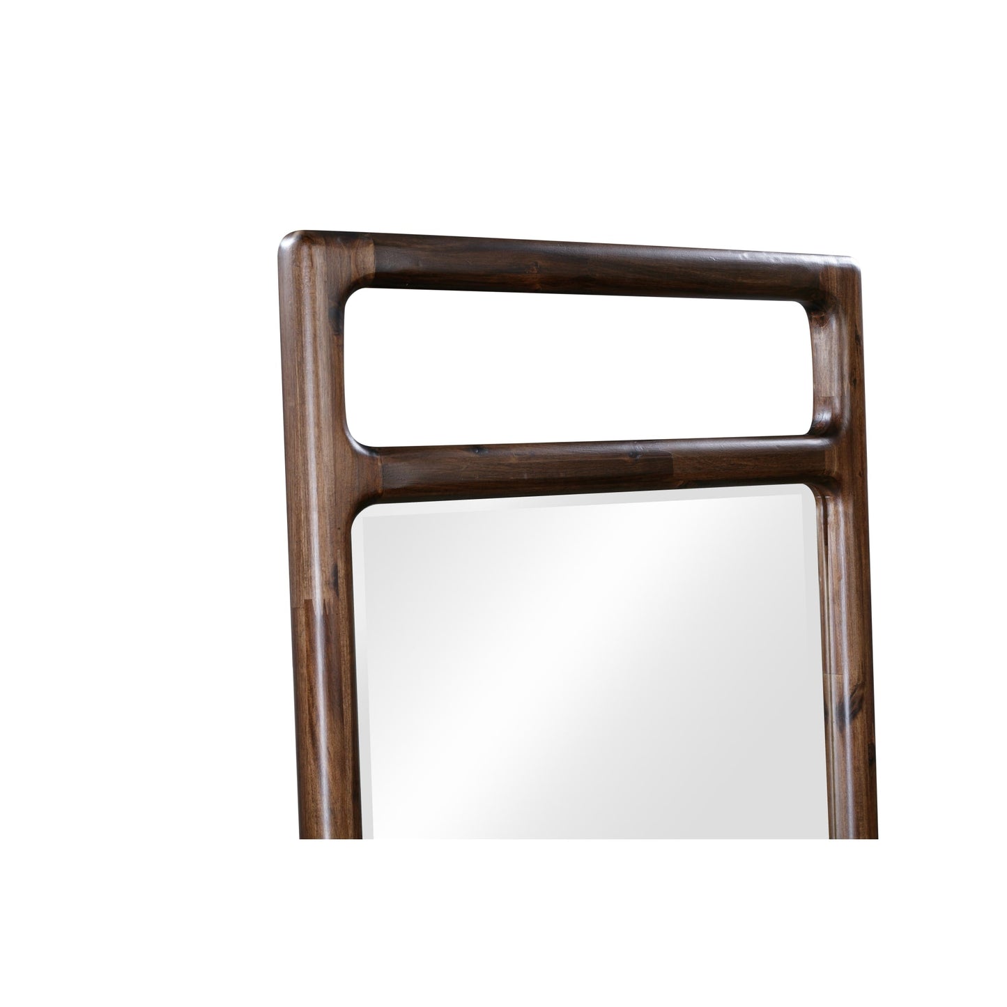 Modus Sol Beveled Glass Floor Mirror in Brown Spce