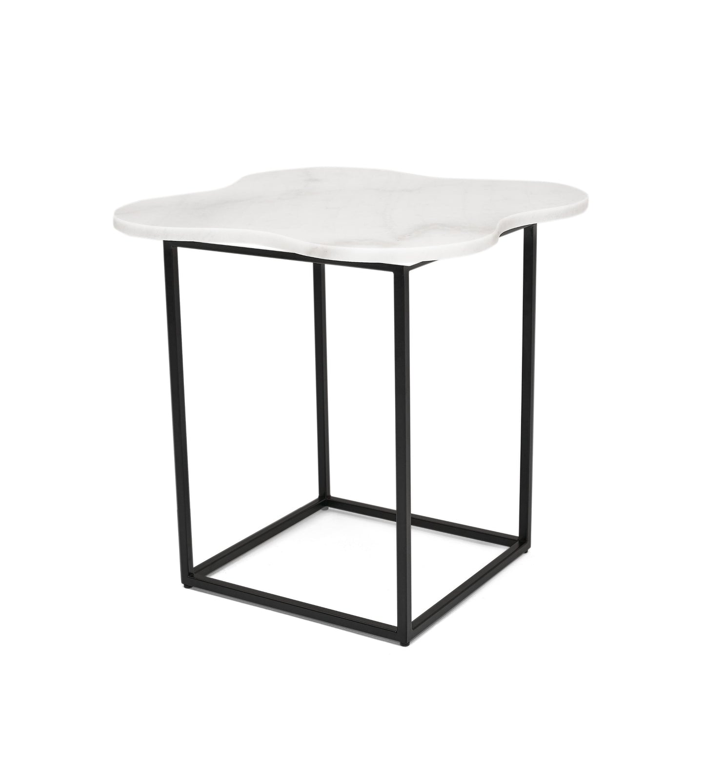 Modrest Aleidy White Marble Black Metal End Table