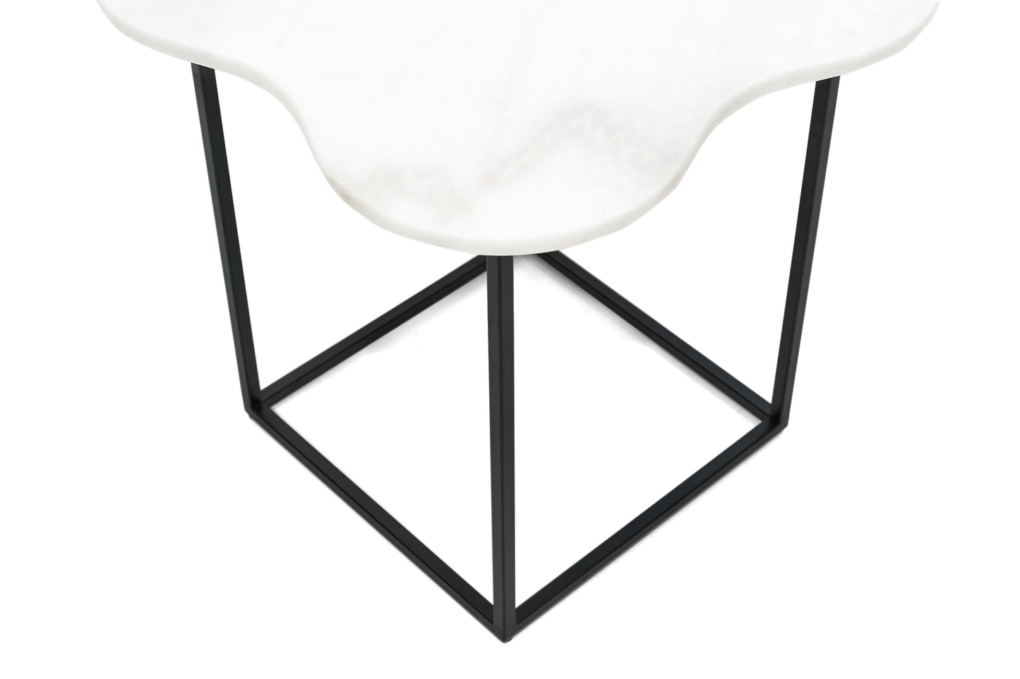 Modrest Aleidy White Marble Black Metal End Table