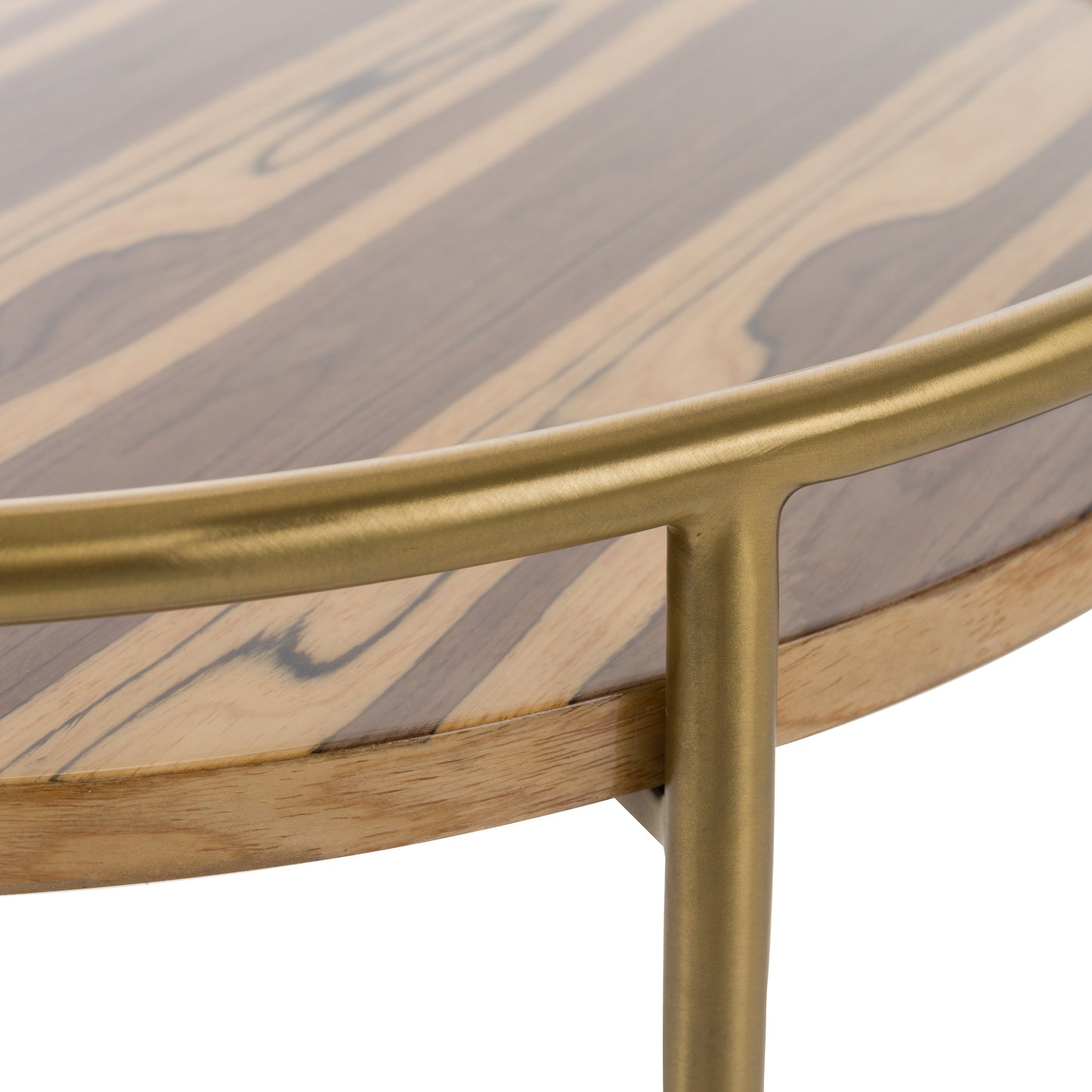 Modrest Gilcrest Glam Brown and Gold Marble End Table