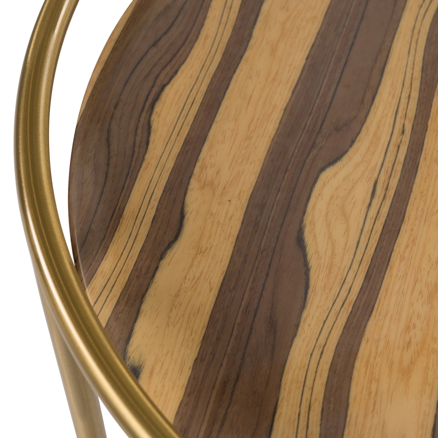 Modrest Gilcrest Glam Brown and Gold Marble End Table