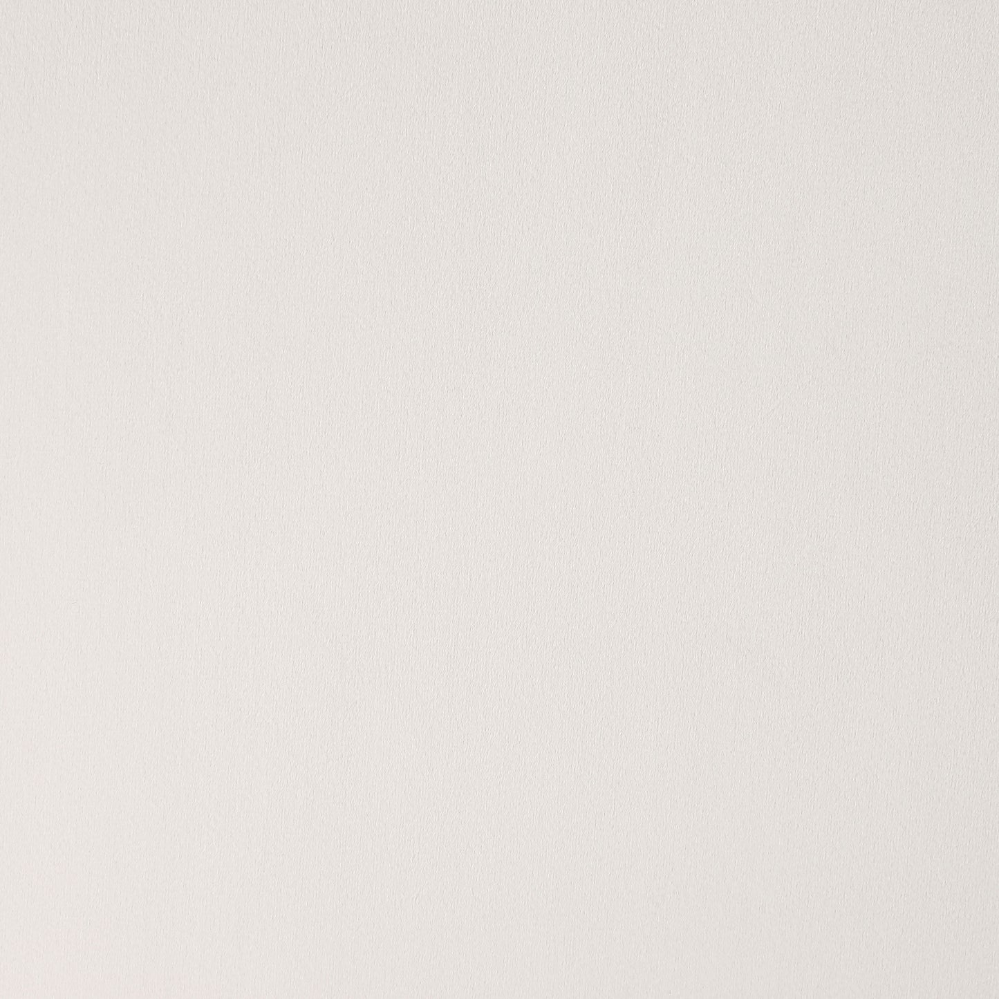 Mayette Upholstered Dining Side Chair Ivory (Set of 2)