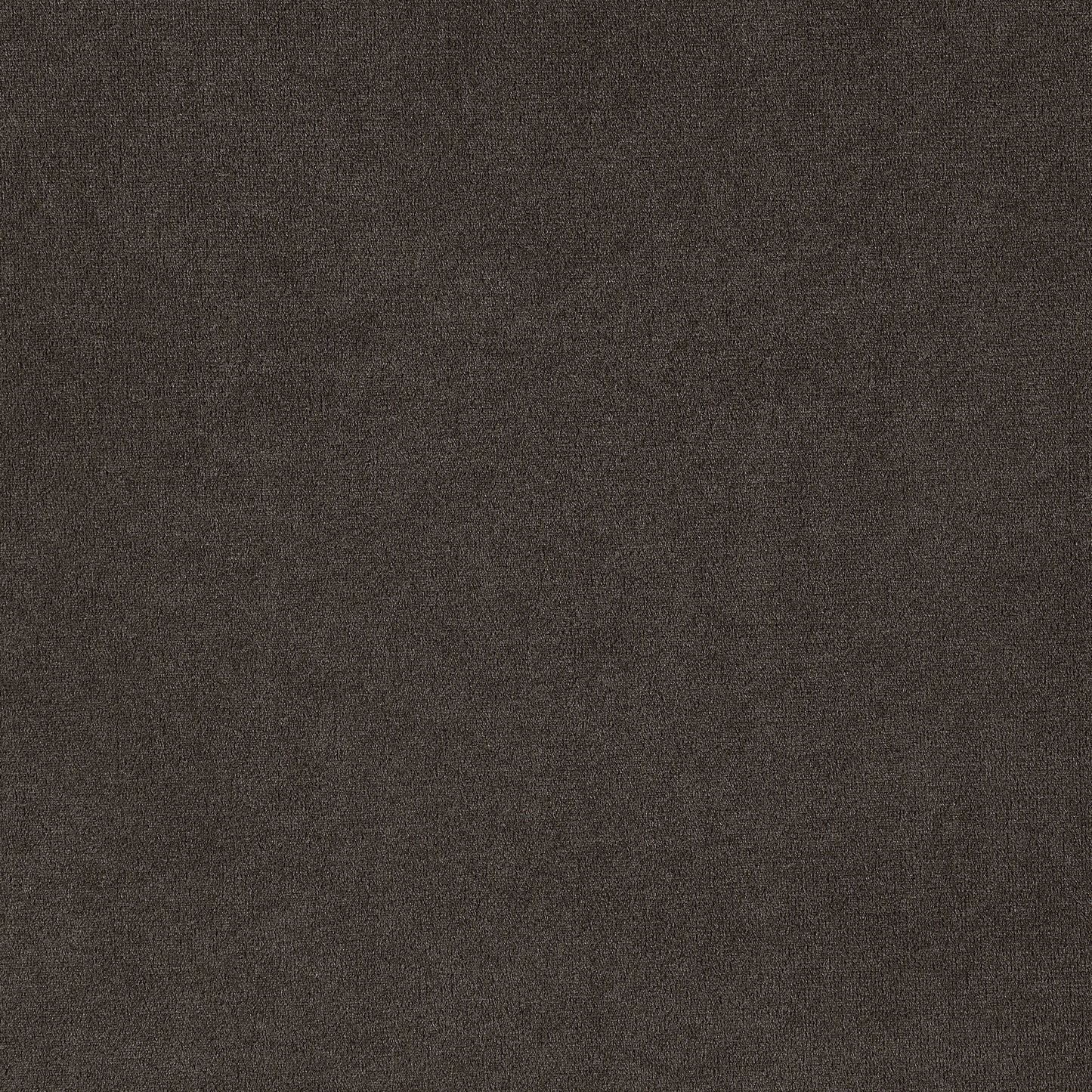 Alana Velvet Upholstered Dining Side Chair Brown (Set of 2)
