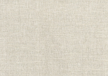 Homelegance Adriano Accent Chair in Textured Beige with Nailhead Trim 1217F4S