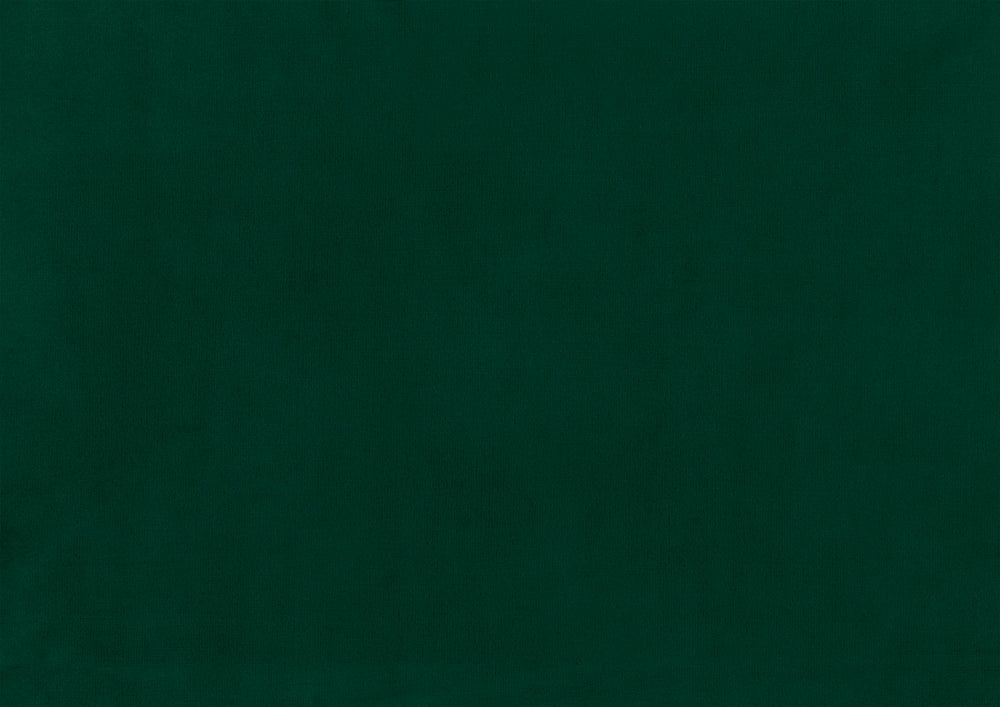 Homelegance Grazioso Accent Chair in Forest Green Velvet with Nailhead Trim 1297FG-1NN