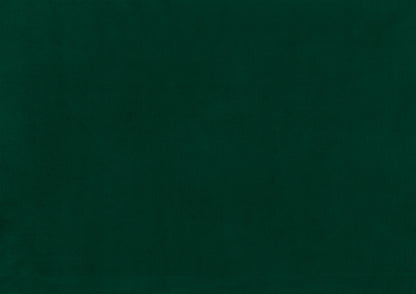 Homelegance Grazioso Accent Chair in Forest Green Velvet with Nailhead Trim 1297FG-1NN
