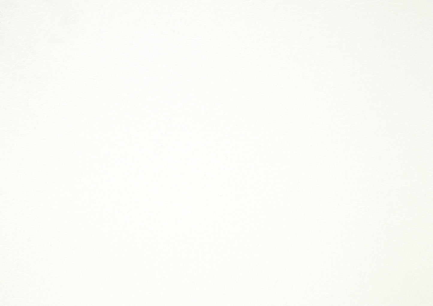 Homelegance Queen Bed Seabright White Finish 1519WH-1