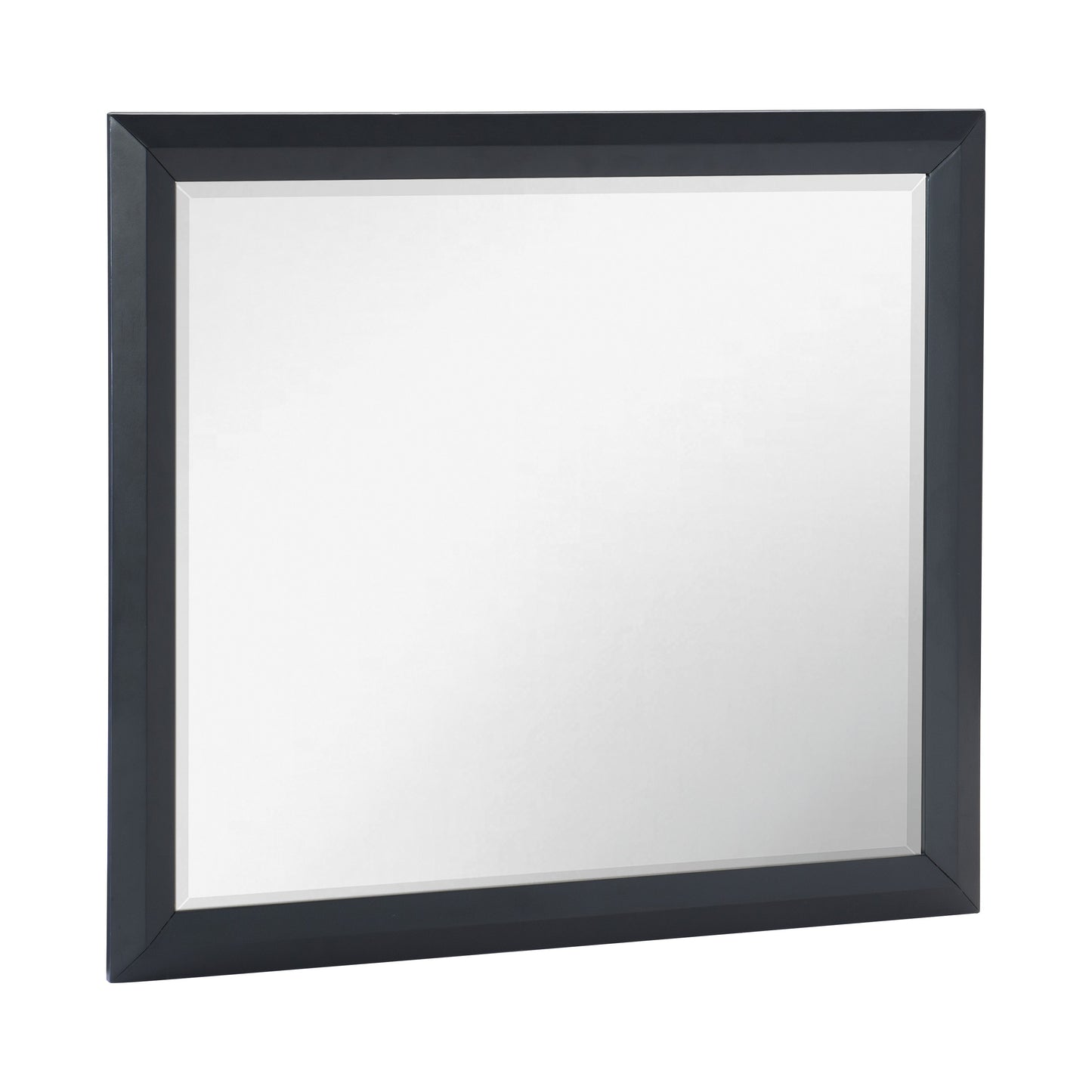 Homelegance Rosemont Dresser Mirror Midnight Blue Finish 1553-6