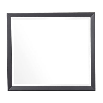 Homelegance Dresser Mirror Raku Gray Black Finish 1711-6