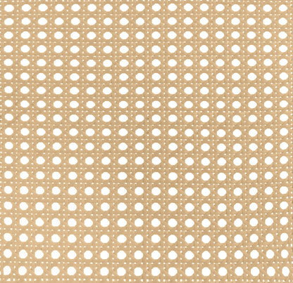 Lanewood Open Cane Webbing Metal Eastern King Bed White