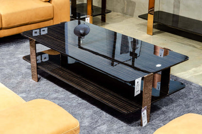 Modrest Leroy Modern Ebony and Rosegold Coffee Table