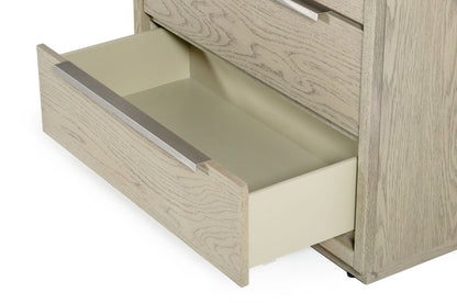 Modrest Samson Contemporary Grey and Silver Chest