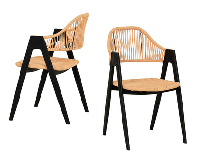 Modrest Gayle Modern Rattan Dining Chair Set of 2