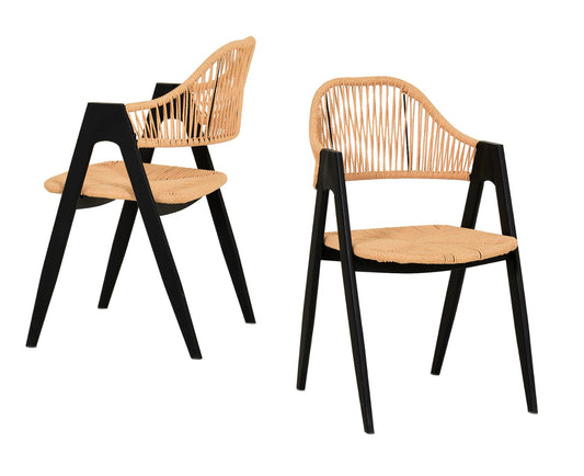 Modrest Gayle Modern Rattan Dining Chair Set of 2