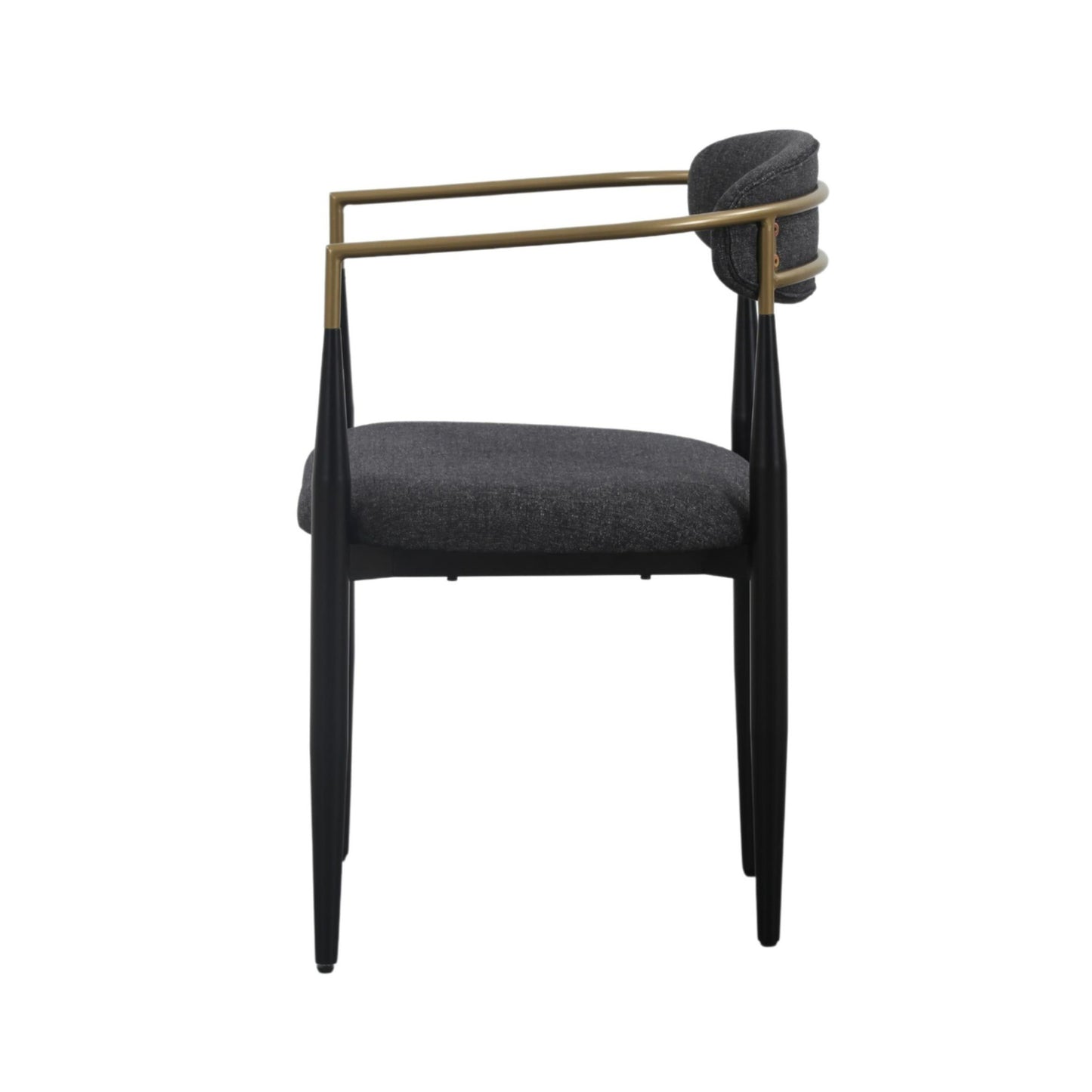 Modrest Buchtel Mid-Century Modern Dark Grey Gold Arm Black Dining Chair