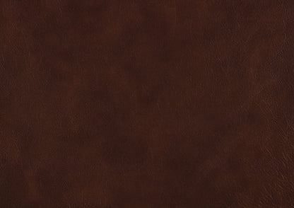 Homelegance Lyman Reclining Chair in Brown Leather 8588BR-1