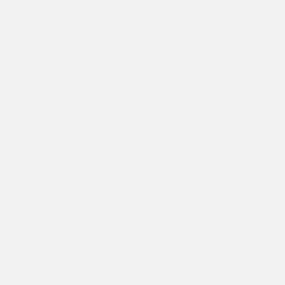 Roberto 4-Panel Room Divider Folding Shoji Screen White