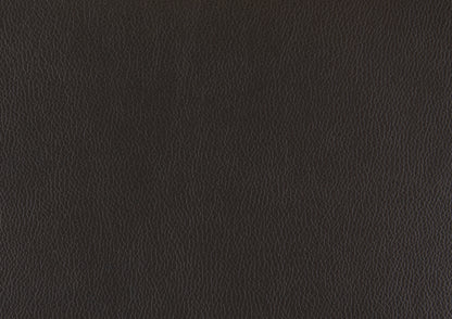 Homelegance Foxborough Loveseat in Dark Brown Leather 9269DB-2