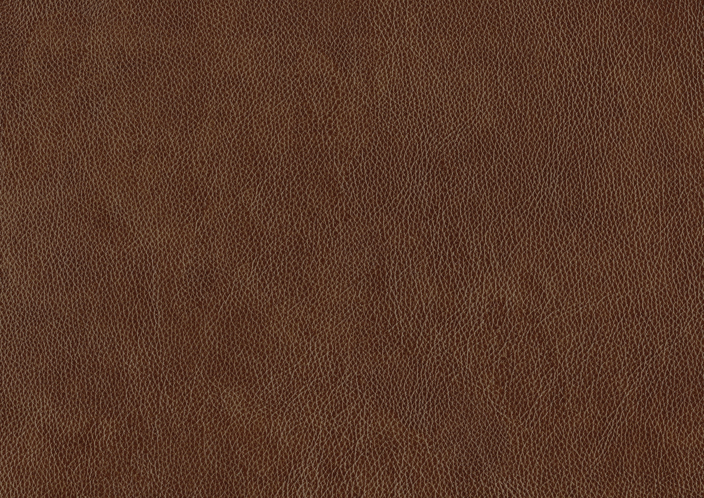Homelegance Braintree Accent Chair in Brown Top Grain Leather 9278-3601
