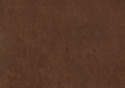 Homelegance Braintree Accent Chair in Brown Top Grain Leather 9278-3601