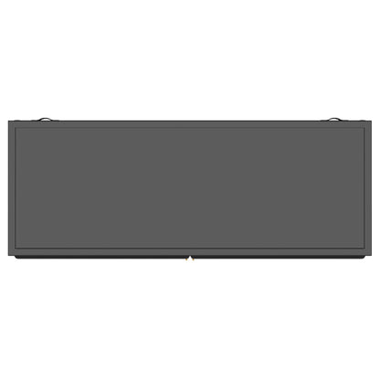 Dalia 2-door Accent Storage Cabinet with Shelving Black