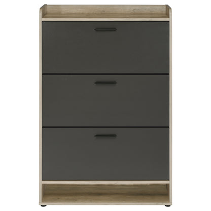 Denia 3-tier Engineered Wood Shoe Cabinet Grey