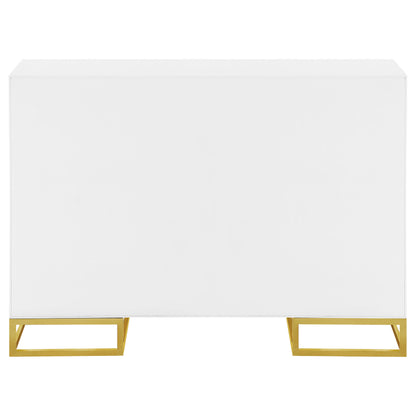 Elsa 2-door Wood Storage Accent Cabinet White and Gold