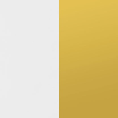 Elsa 2-door Wood Storage Accent Cabinet White and Gold