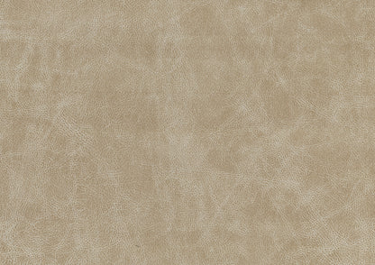 Homelegance Cazon Accent Chair in Sand Polished Microfiber 9637SND-1