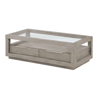 Modus Modus Oxford Two-Drawer Coffee Table in Mineral