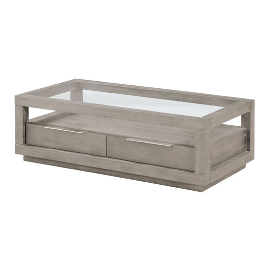 Modus Modus Oxford Two-Drawer Coffee Table in Mineral