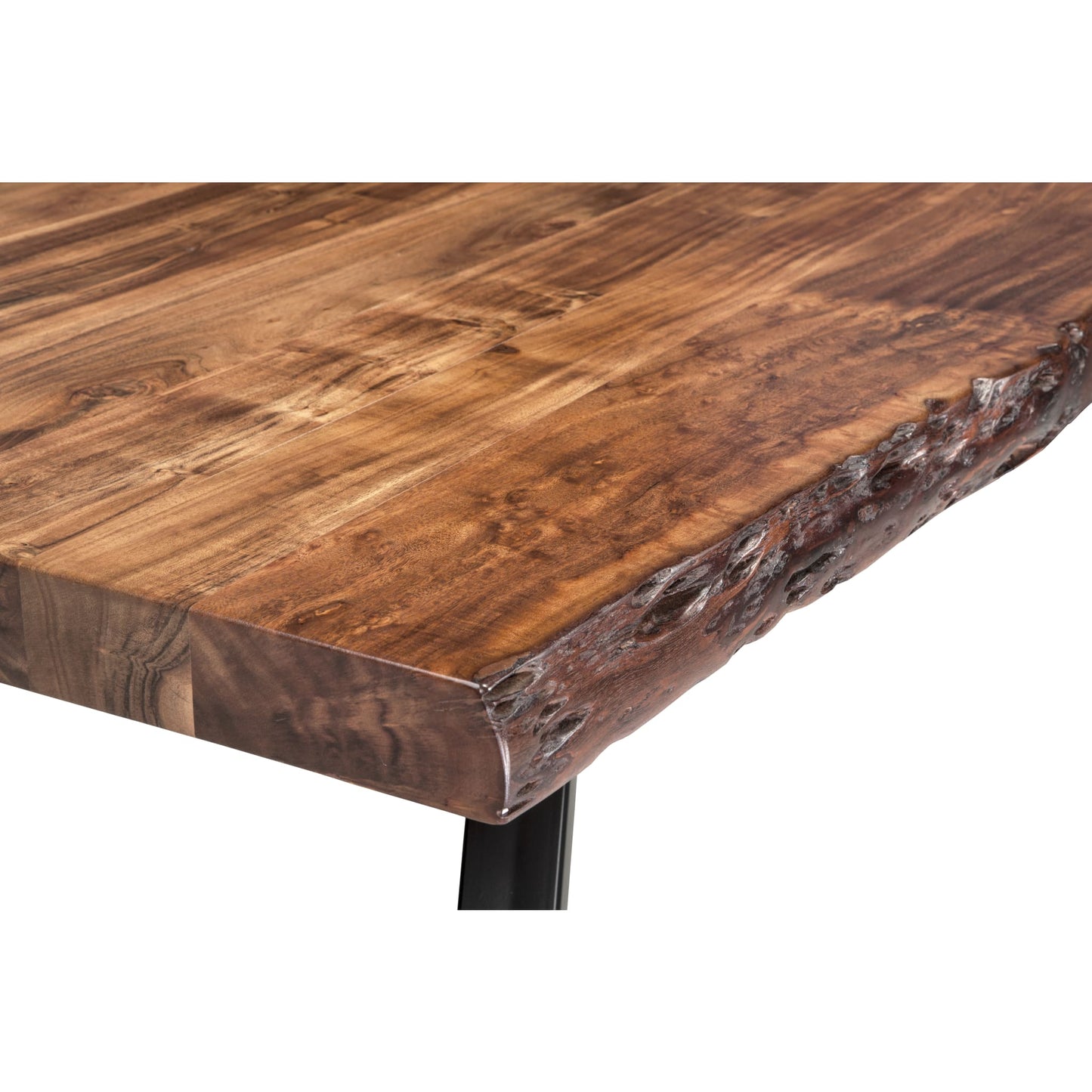 Modus Reese Live Edge Solid Wood Metal Leg Dining Table in Natural Acacia
