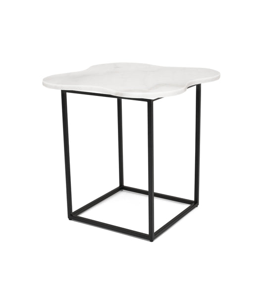 Modrest Aleidy White Marble Black Metal End Table