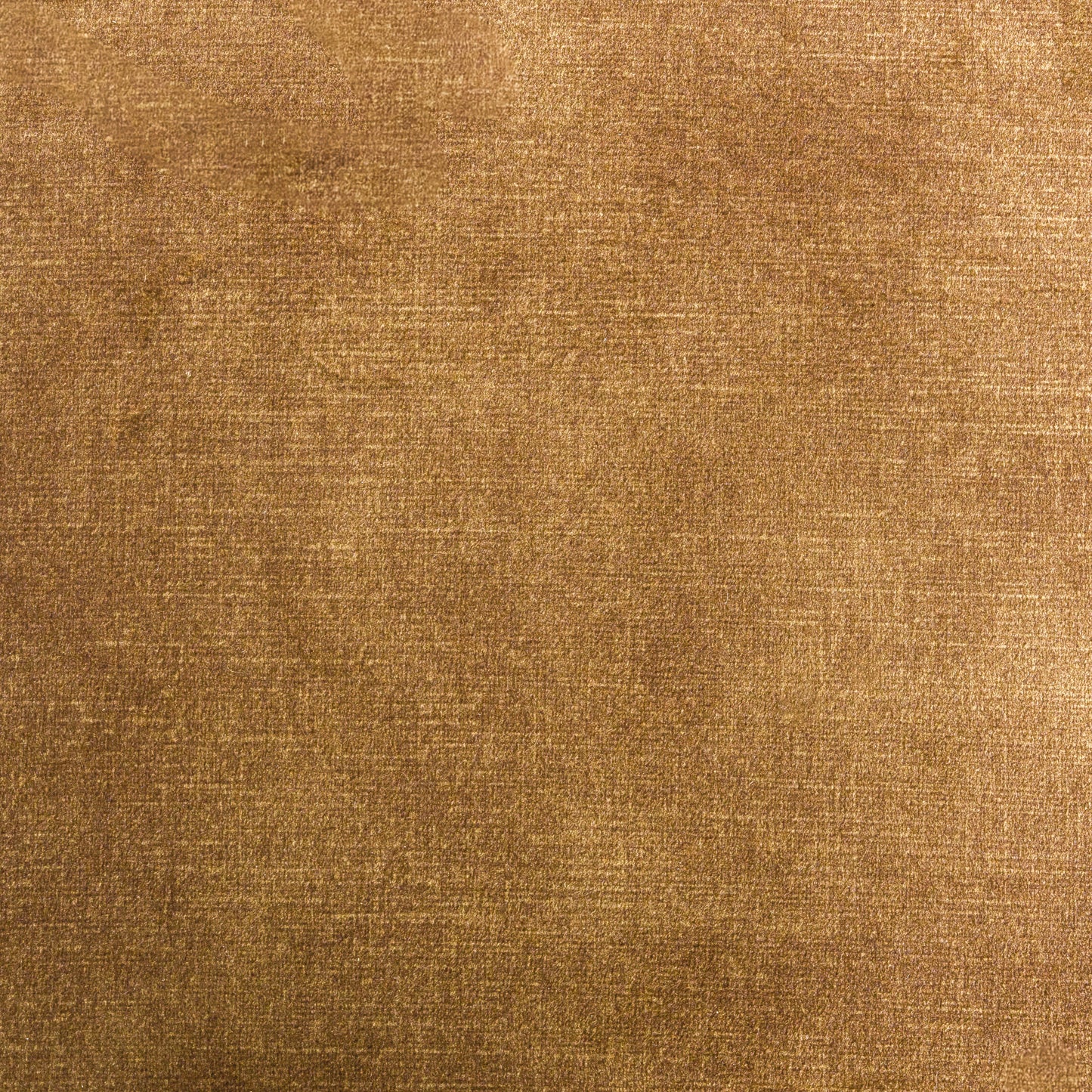 Modrest Bergman Modern Brown Velvet Dining Chair