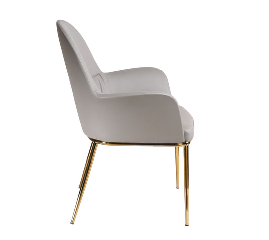 Modrest Blanton Modern Grey Leatherette and Gold Accent Chair