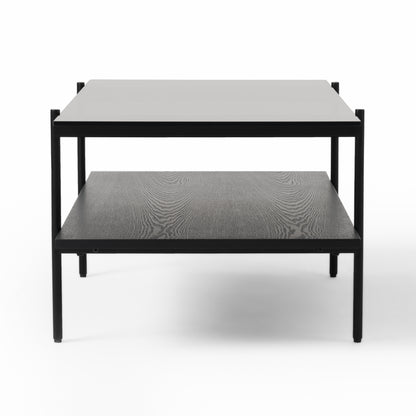 Modrest Conley Mid-Century Modern Grey Glass Black Ash Coffee Table