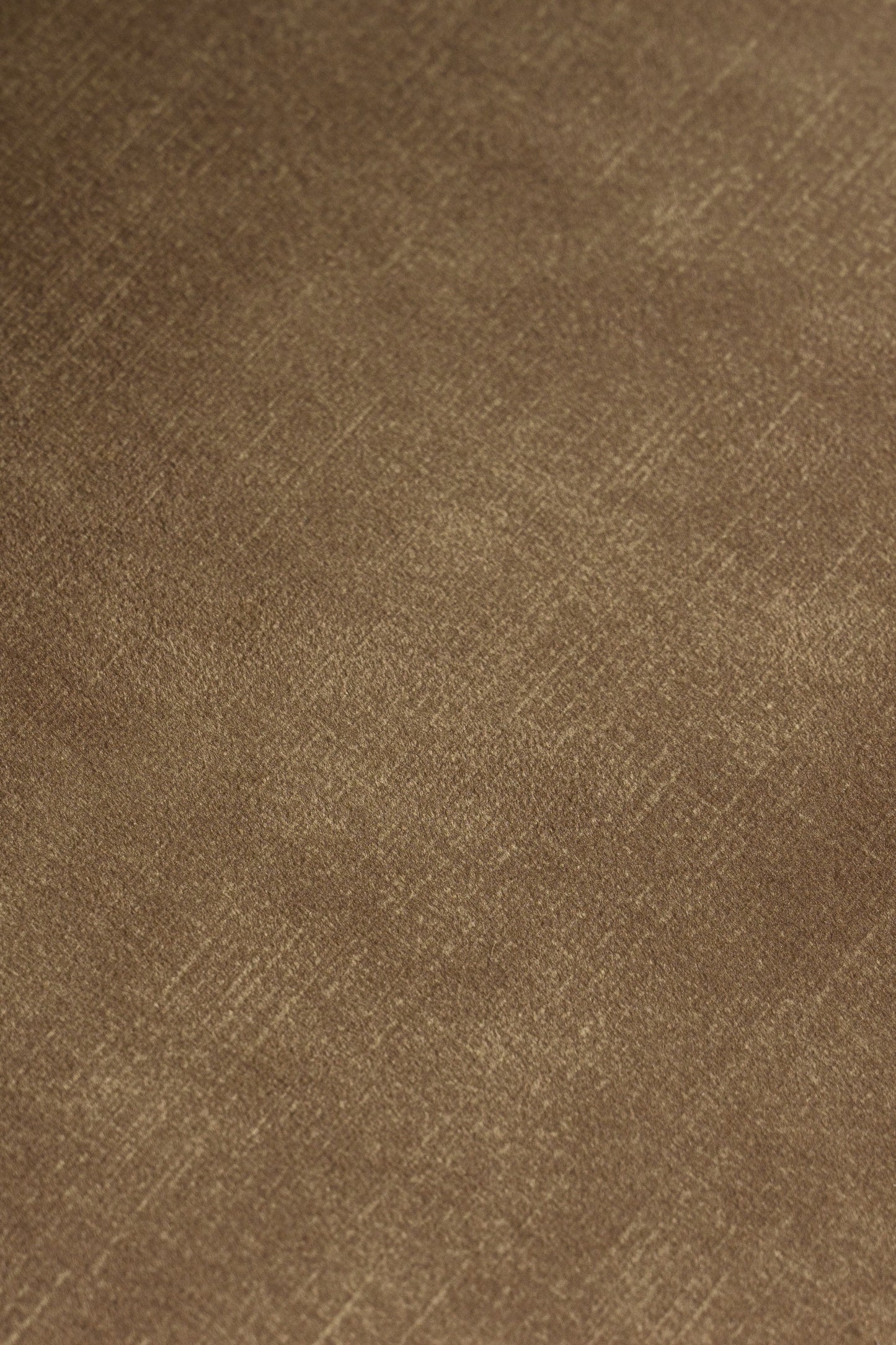 Modrest Ditka Modern Camel Velvet Dining Chair