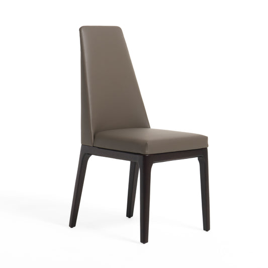 Modrest Encino Modern Taupe and Timber Chocolate Dining Chair