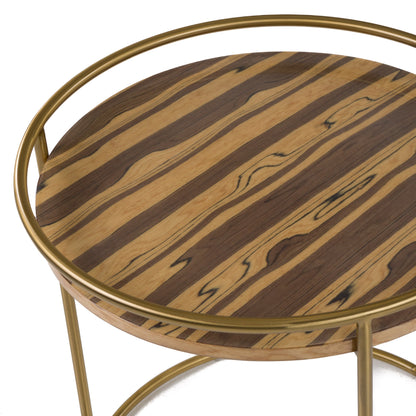 Modrest Gilcrest Glam Brown and Gold Marble End Table