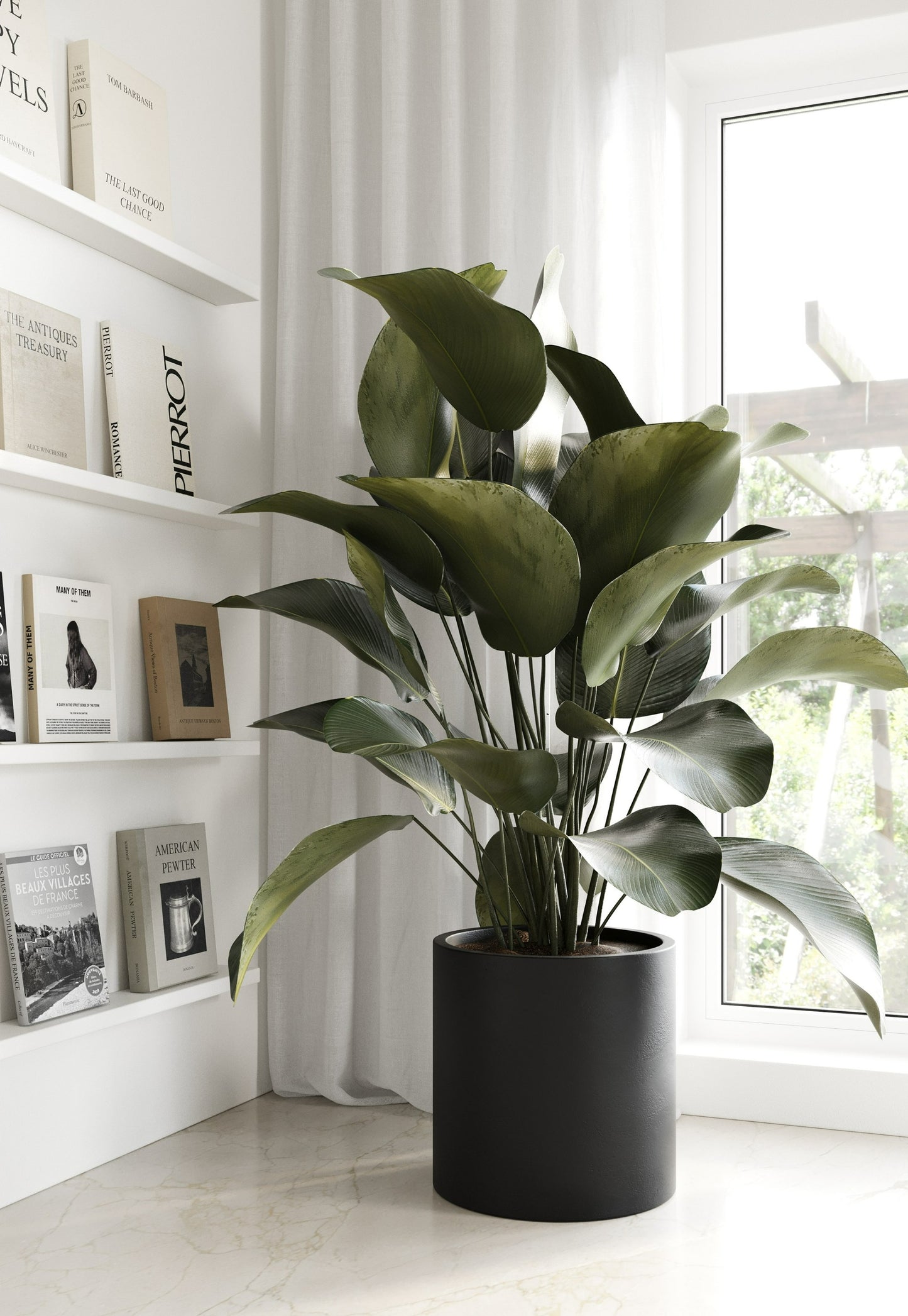 Modrest Hedley Modern Black Concrete Planter