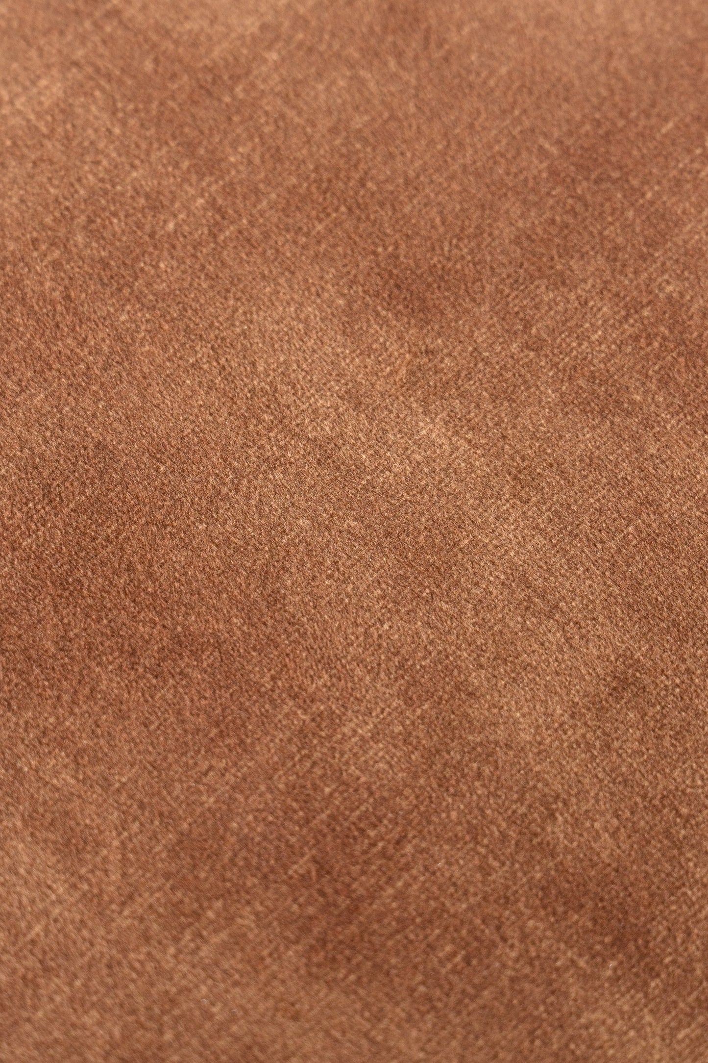 Modrest Saehee Modern Camel Velvet Fabric Dining Chair