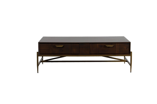 Modrest Shane Modern Acacia and Brass Coffee Table