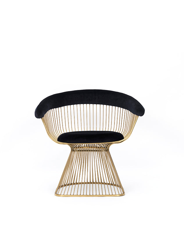Modrest Chandler Black Velvet and Gold Dining Chair