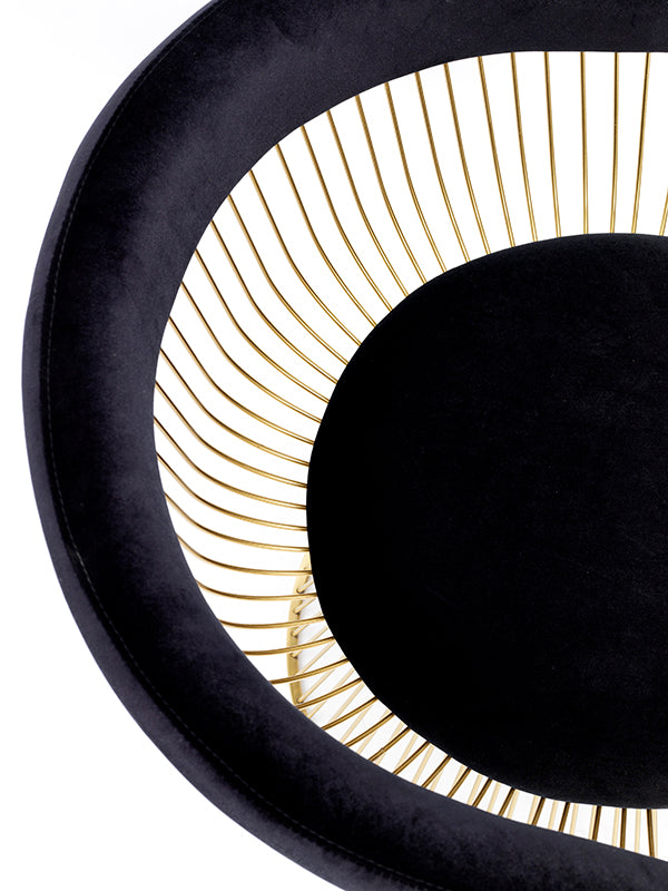 Modrest Chandler Black Velvet and Gold Dining Chair