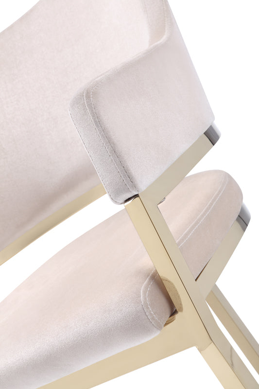 Modrest Tulsa Modern Cream Velvet and Gold Dining Chair